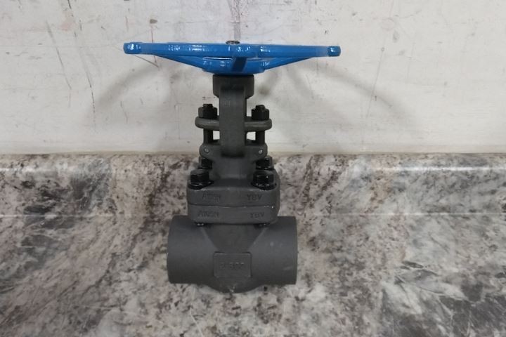 Sharpe Valves 4371003820 2 In FNPT x FNPT Forged Steel Body Gate Valve