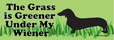"The Grass is Greener Under My Wiener" ๐๐ญ LOL Bumper Car Magnet | Made in USA