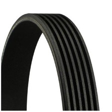 Keilrippenriemen für Seat Leon 1P1 KL1 KL8 Tarraco KN2 Toledo 4 KG3 | 24289655