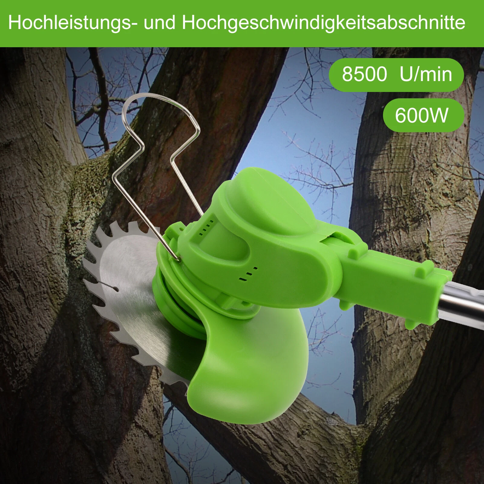 Bild 7 von 12