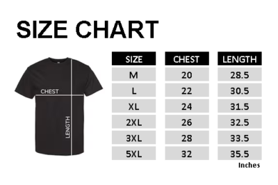 AAA Alstyle 1301 Original (NEW) | eBay