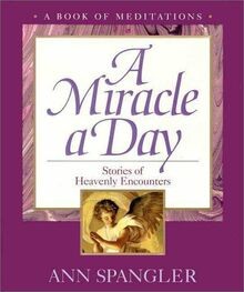 A Miracle a Day: Stories of Heavenly Encounters von... | Buch | Zustand sehr gut