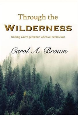 Through The Wilderness: Finding God's presence when all seems lost. (Hardback or