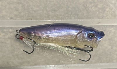 Megabass Pop Max GP Tequila Shad (SP-C) Rare Limited Release Respect 25 Popmax