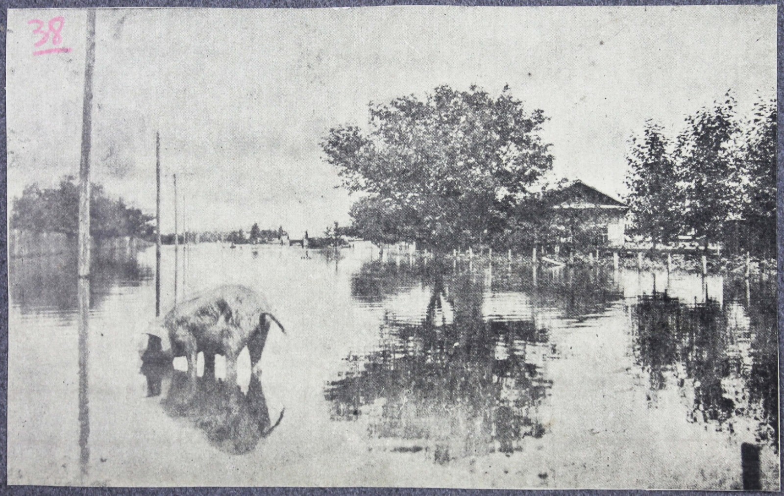 Picture 17 of 24