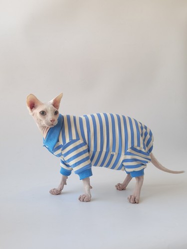 Camisa POLO de cuatro patas que protege el vientre de algodón es agradable para la piel y transpirable - Imagen 9 de 14