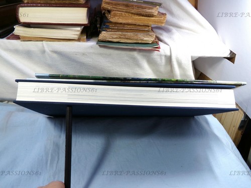 LE RHIN, ROLAND RECHT, ÉDITIONS GALLIMARD, 2002 - Picture 6 of 12
