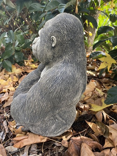 Gorilla Ape Monkey Statue Ornament Animal Concrete Cement Garden Australian Made - Picture 5 of 10