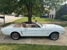 1965 Ford Mustang for Sale