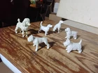 1950s Marx PET SHOP white DOG LOT  (6) figures dollhouse animals playset