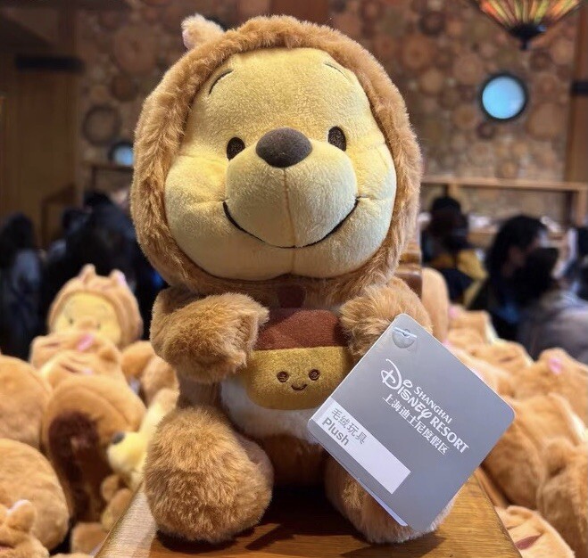 Shanghai Disney 2022 Winnie the pooh squirrel plush 9inch