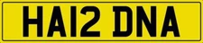 HARD NUMBER PLATE HA12 DNA CAR REG HARD NA INITIALS WITH FEES PAID HAIR DNA REG