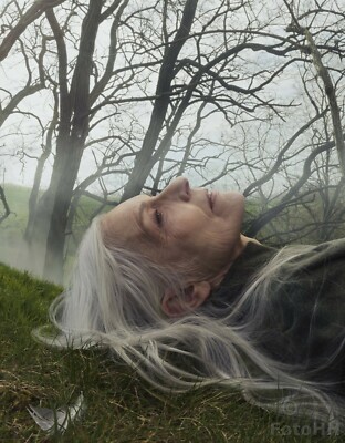 Hasselblad Masters vol.5 Inspire アート・デザイン・音楽 Hasselblad