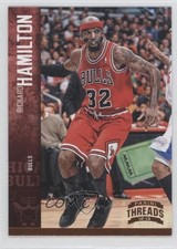 2012-13 Panini Threads Richard Hamilton #19 0e5