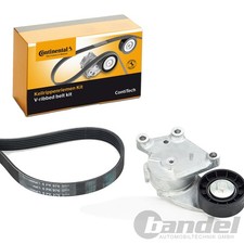 CONTINENTAL CTAM KEILRIPPENRIEMEN-SATZ passend für CITROËN BERLINGO C2 C3 C4 C5
