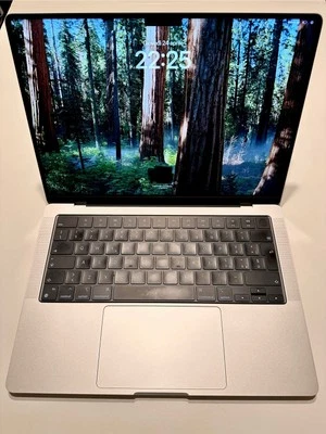 APPLE MACBOOK PRO 14" 2023 M2 PRO SSD 512 GB RAM 16 GB Sequoia GRADO A Silver
