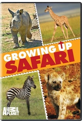 Growing Up Safari