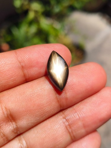 7.99 Cts A STUNNING NO HEAT BLACK STAR SAPPHIRE A RARE MARQUISE SHAPE OF SHARP ⭐ - Bild 2 von 8
