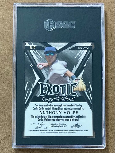 2023 Leaf Exotic Anthony Volpe Prospect SGC 10 Auto Zebra Kaleidoscope /7 (5/7) - Picture 2 of 2