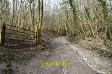 Photo 6x4 Pitchfont Lane Limpsfield  c2021