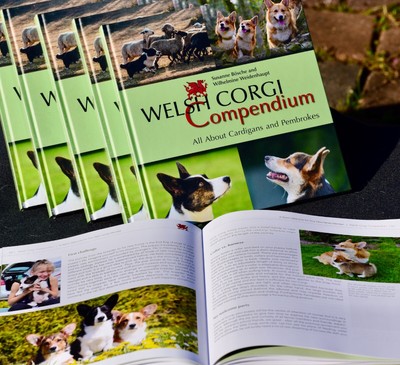 Welsh Corgi Compendium All About Cardigans and Pembrokes