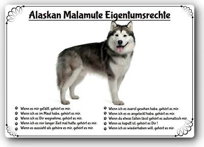 Warnschild - 20x30cm -  Lustige Eigentumsrechte - Alaskan Malamute