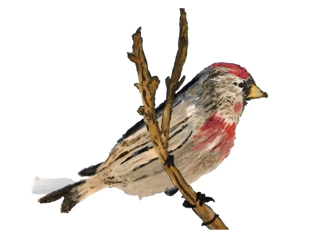 Impressionism Birds Art Paintings