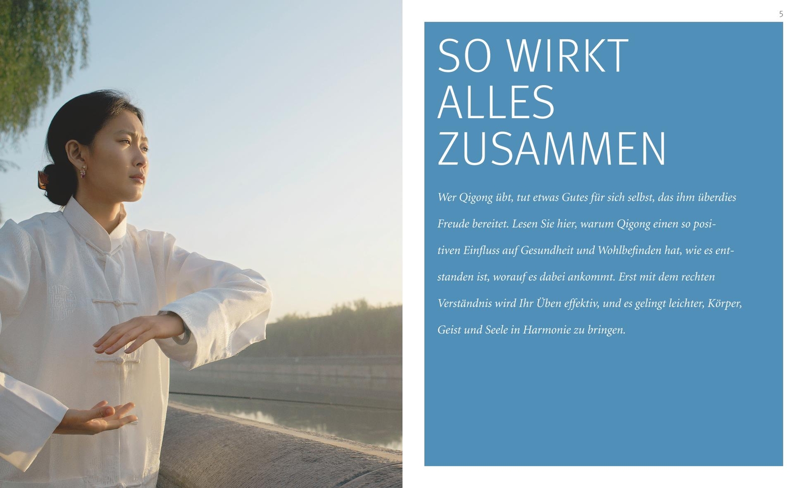 Thumbnail - Qigong (mit Audio-cd), Wilhelm Mertens