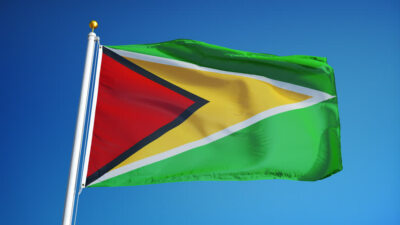 NEW GUYANA 3x5ft FLAG superior quality fade resist us seller