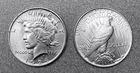 1924 Peace Dollar, Blast White Gem BU++-MS+   (One Coin)  Free Shipping  DE 24