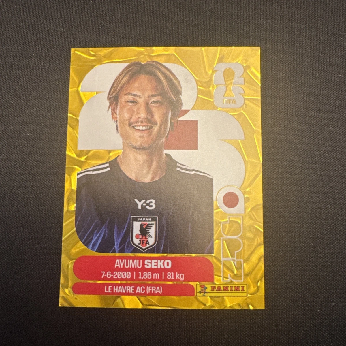 FIFA World Cup Soccer Japan Exclusive Sports Trading Cards