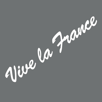 20cm white vive la france lettering sticker tattoo car door window decoration film