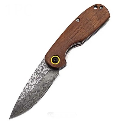 Pocket Knife 