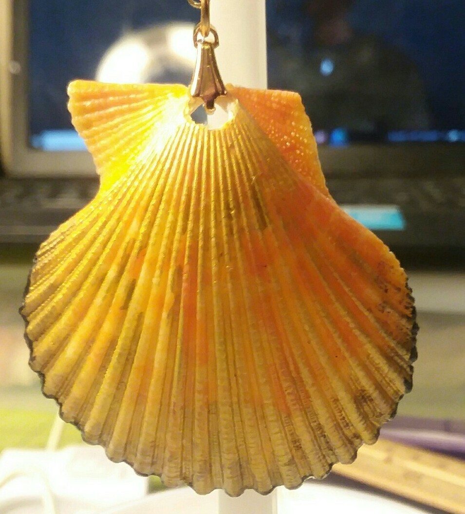 Picture 2 of 11