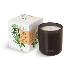 Sprig by Kohler Recharge Aromatherapy Candle with Bergamot and Lemongrass - 8 oz