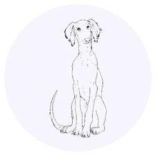 24 x 'Saluki Puppy' Stickers (SK00065151)