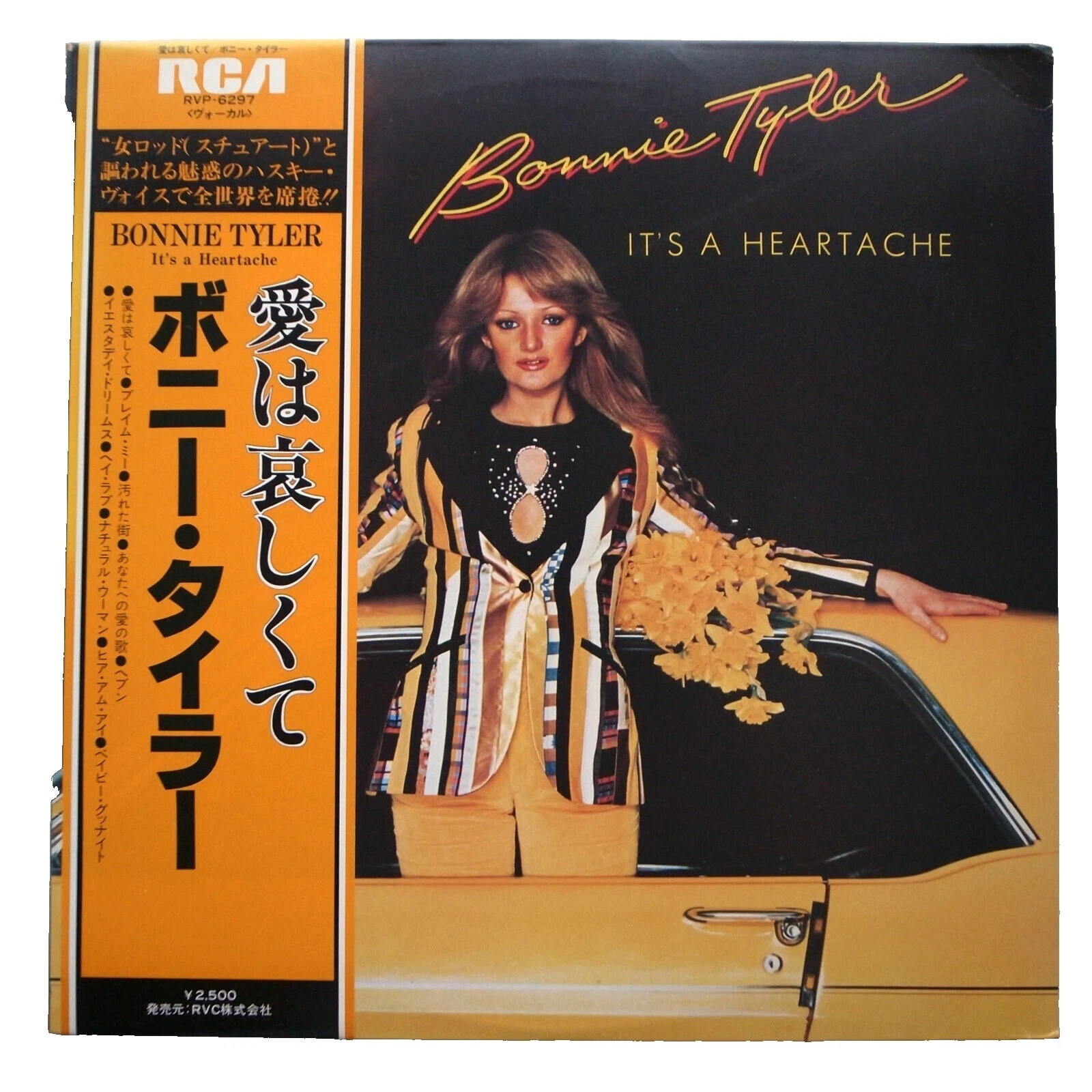 Bonnie Tyler Near Mint (NM or M -) Grading 33 RPM Speed Vinyl Records