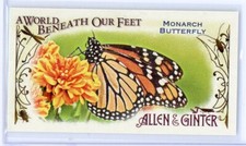 2015 Topps Allen & Ginter A World Beneath Our Feet Mini 6 Monarch Butterfly