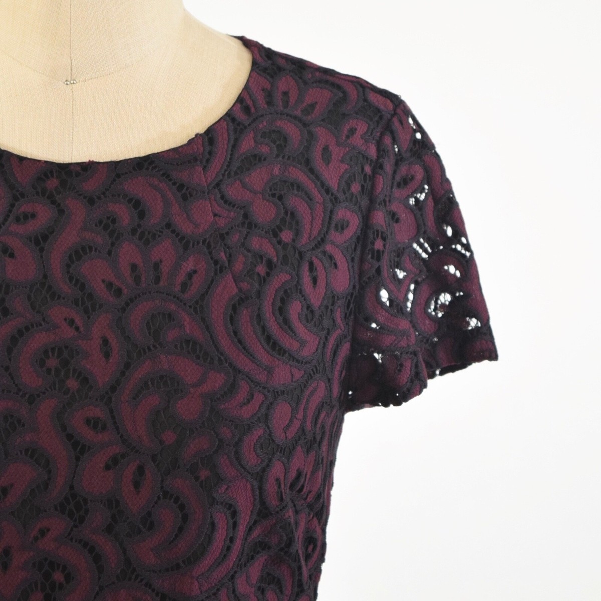 chinese dress ladies Women's Lace Bell-Sleeve A-Line Dress main image 0