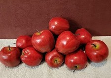 Faux Fruit 12 Apples Red Delicious Display Quality Very Realistic