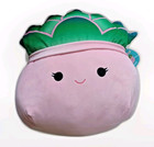 🌵 NEW Squishmallows 14" Afiyah Pink Pot Succulent Plush NWT Medium Cactus Plant — photo 1