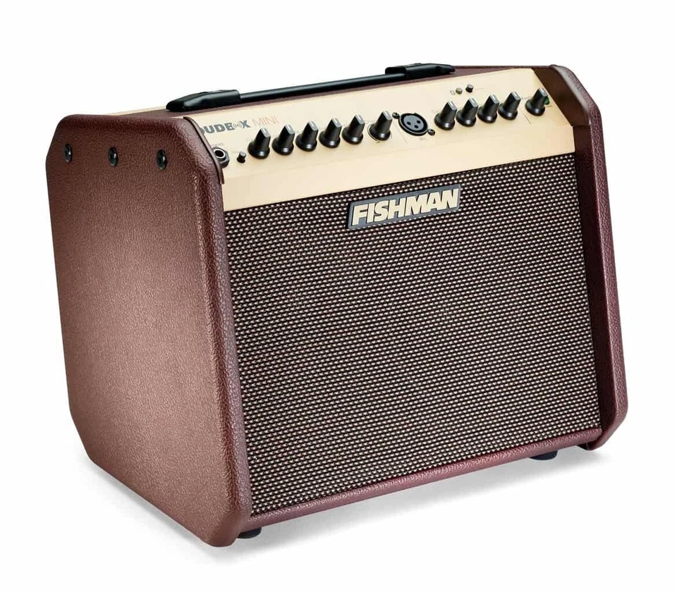 Fishman LoudBox Mini 60-watt 1 x 6.5" Acoustic Guitar Amplifier - Image 3 of 4