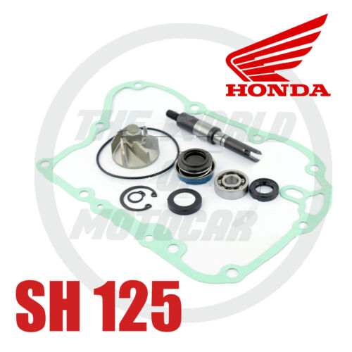 Überholsatz Reparatur Wasserpumpe + Dichtung Honda Sh 125/150 2001 2012 - Photo 1/2