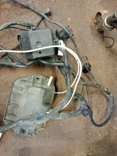 AUDI TT 1.8T BAM Engine Management Wiring Loom +LAMBDA APX? GOLF CONVERSION - Picture 17 of 24