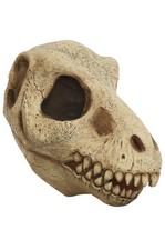Dinosaur Tyrannosaurus T-Rex Skull Adult Mask