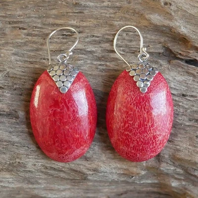 Chunky Oval Red Coral Earrings 925 Sterling Silver Jewellery - EA099 - Image 1 of 4