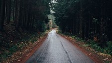 Landscape nature road wet forest trees Custom Gaming Mat Desk