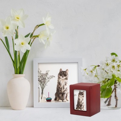 Haustierkreisschatulle Pet Memorial Urne Gedenkbox Für Haustiere