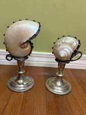 Nautilus Shell Art Deco Silver Mounted SUPER COOL