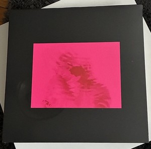 The Caretaker Vinyl | eBay